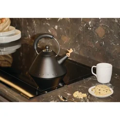 AlessiWasserkessel 9093 BB 2,0 l Michael Graves schwarz