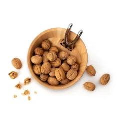 ContinentaNussschale mit Qualitätsknacker 19 cm Gummibaum