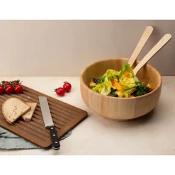 ContinentaSchüssel 28 cm Gummibaum