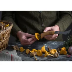 OpinelPilzmesser N°08 8 cm Buche