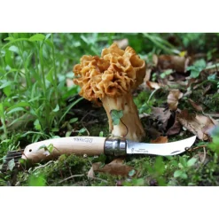 OpinelPilzmesser N°08 8 cm Buche