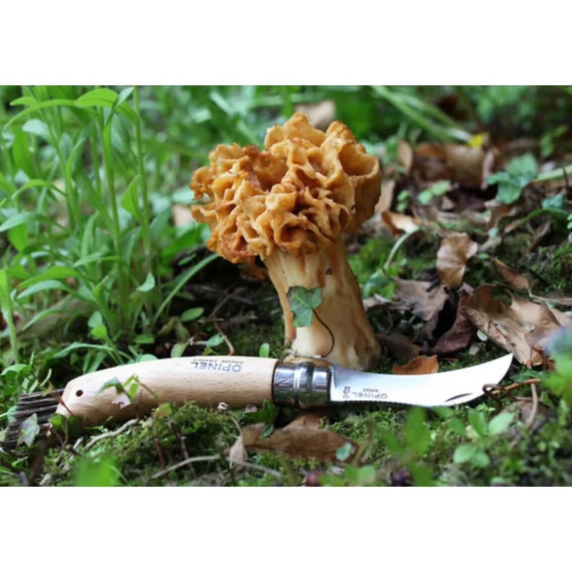 OpinelPilzmesser N°08 8 cm Buche