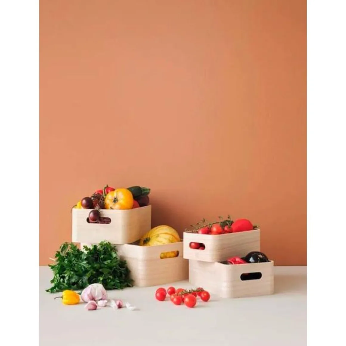 Rig TigAufbewahrungsboxen 5-tlg. Save-it Palownie