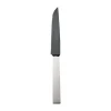 Robbe & BerkingSteakmesser Frozen Black Riva 925 Sterlingsilber