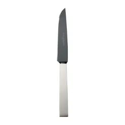 Robbe & BerkingSteakmesser Frozen Black Riva 925 Sterlingsilber