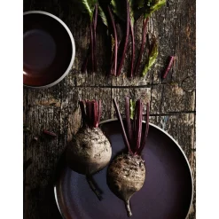 RosenthalTeller flach 22 cm Junto Bronze