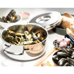 Schulte-UferBratentopf m.Deckel Romana Edelstahl 20cm