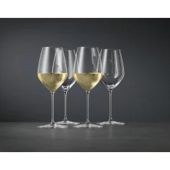 SpiegelauUniversalglas 2er-Set Hi-Lite klar