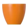 ThomasEierbecher Sunny Day Orange