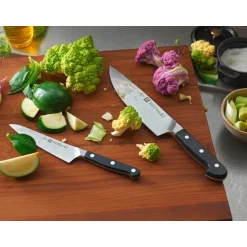 ZwillingSpick- und Garniermesser 10 cm Pro